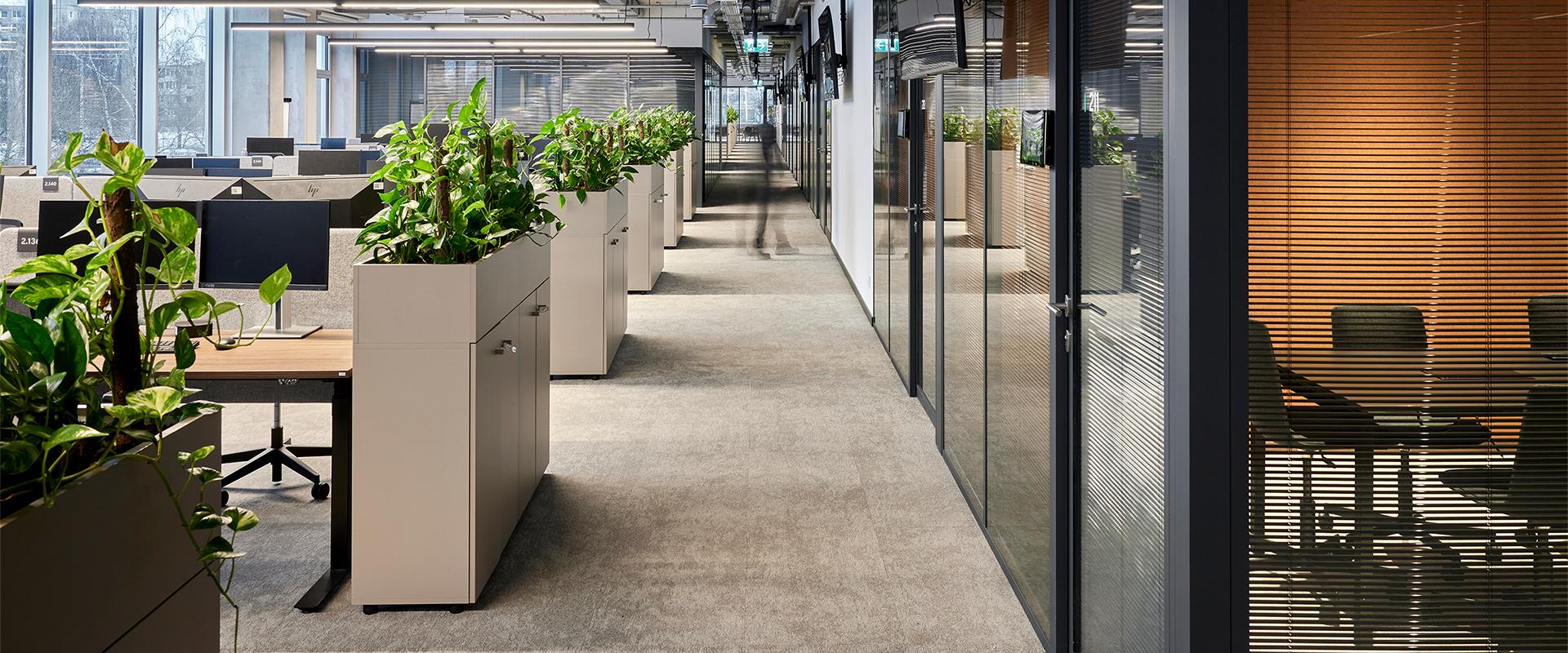 planten op kantoor